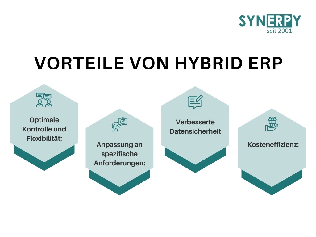Vorteile von Hybrid ERP